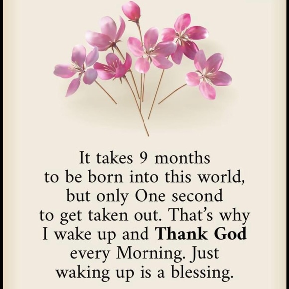 Meet your Posher, Kate - Picture 5 of 7